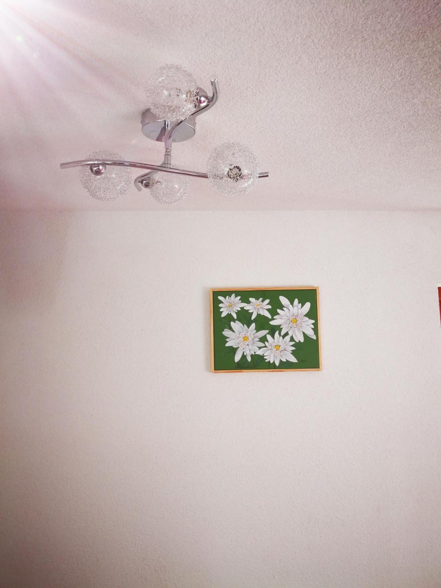 Ekoturizem Vizencar Hotell Cerklje na Gorenjskem Exteriör bild
